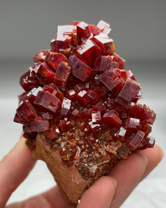 Collection image for: Our Finest