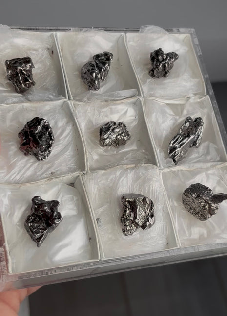 9 Pieces ! Campo del Cielo Meteorite Lot