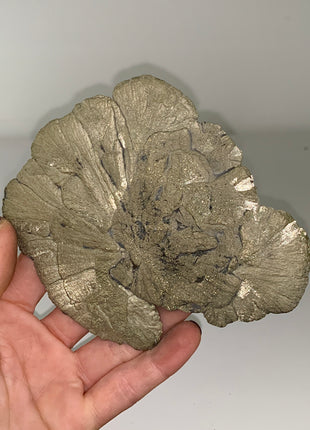 Pyrite Sun - From Sparta, Illinois