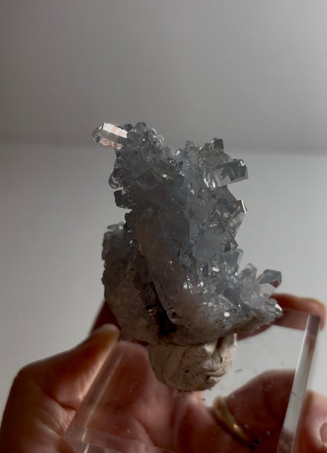 Gemmy Blue Celestite 💎