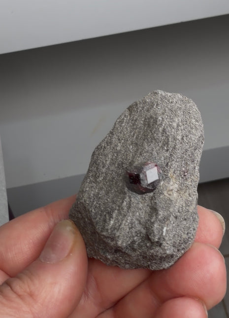 6 Pieces ! Red Garnet in Schist Lot from Wrangell Island