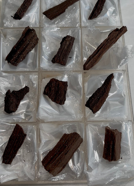 12 Pieces ! Permineralized Fossil Wood Fairy Wood Lot