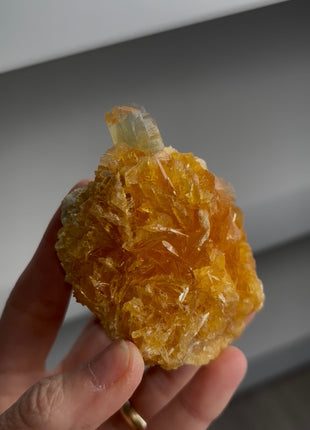 Golden Honey Selenite Flower from Peru