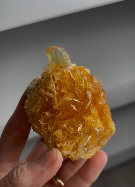 Golden Honey Selenite Flower from Peru