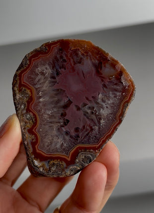 Condor Agate from Argentina