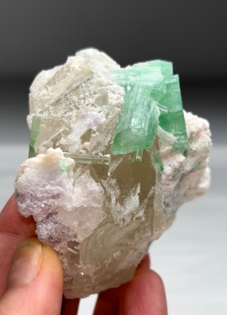 Rare SeafoamTourmaline with Quartz