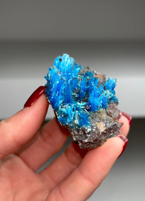 Neon Blue Chalcanthite from Planet mine