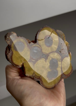 New find ! Orbicular Opal from Argentina