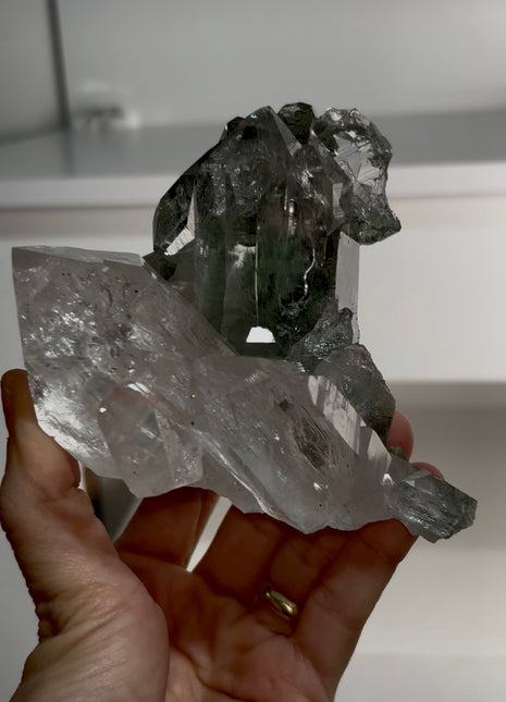 Amazing Himalayan Green Chlorite Quartz 💎