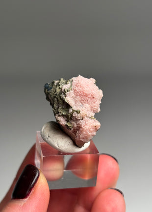 Pink Rhodocrosite - From Potosi mine