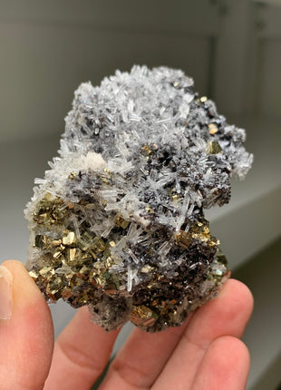 Very High Grade Pyrite, Silvery Galena with Quartz