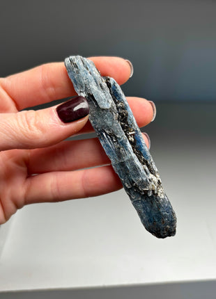 XL Size Blue Kyanite with Mica - From Zambia - 12 Pieces