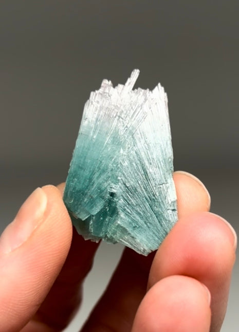 Pink Blue Bicolor Tourmaline Spray