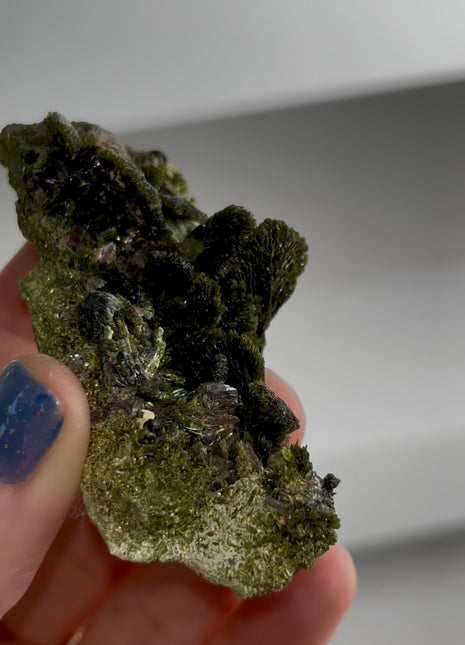 New ! Epidote Flowers with Axinite PM1572