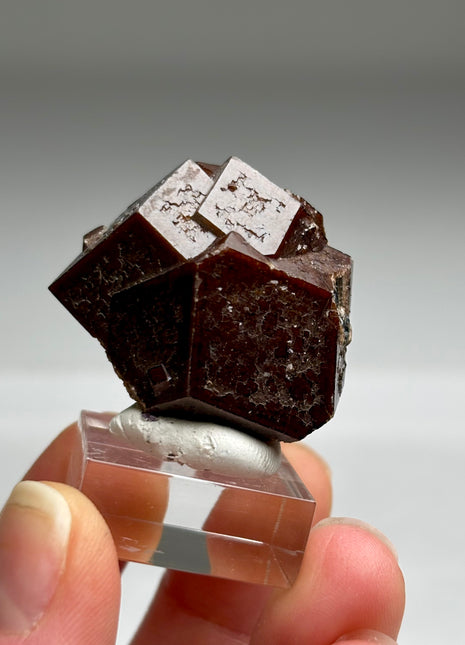 Chocolate Andradite Garnet