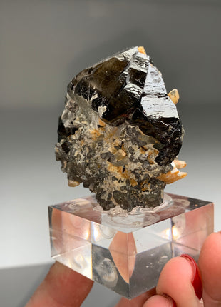 Unusual Size Cassiterite from La Paz, Bolivia - Collection # 074 *