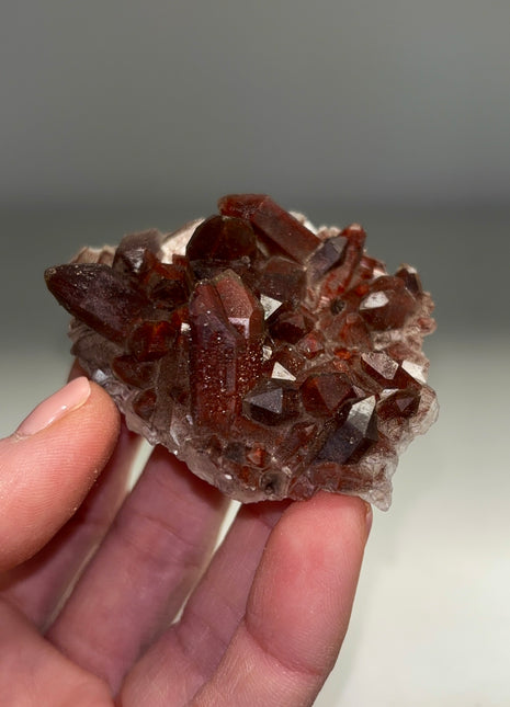 Red Chocolate Quartz