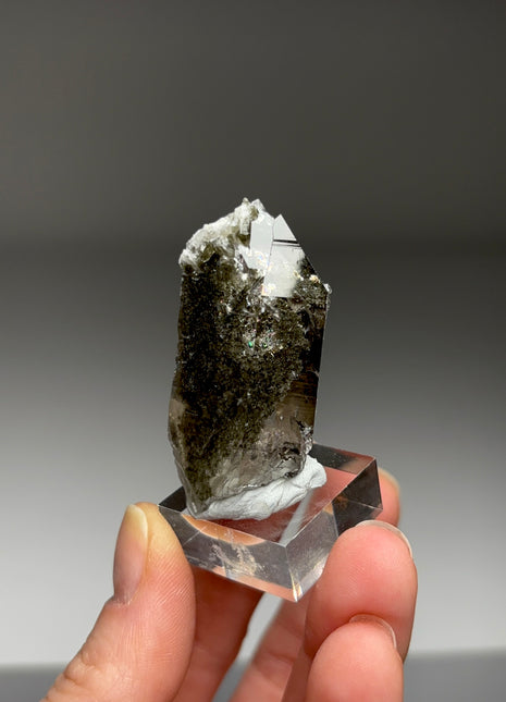 Green Chlorite Quartz - From Chamonix, French Alps