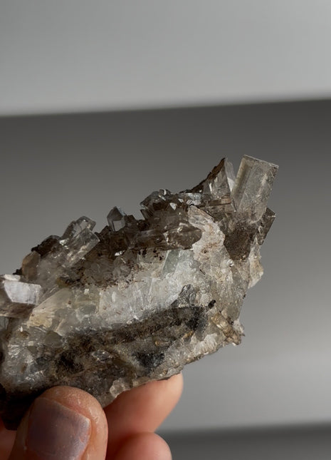 New Arrival ! Optical Calcite on Matrix