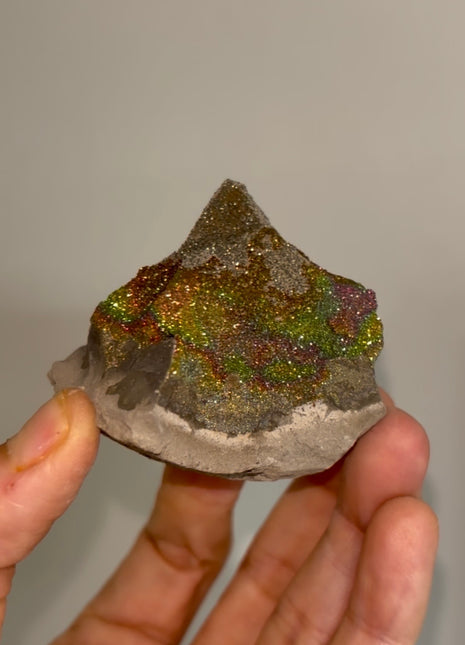 Spectropyrite Specimen from Volga River, Russia 🌈