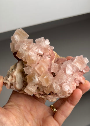 Pink & Yellow Bicolor Halite with Trona