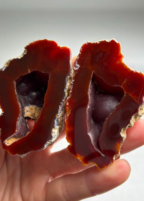 Black Sea Agate Geode Pair*