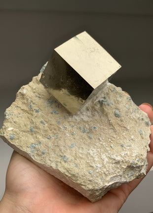 New ! Cubic Pyrite on Matrix from Navajun, Spain