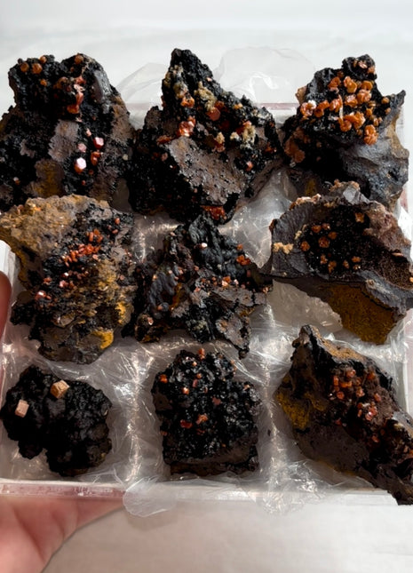 9 Piece Lot ! Black Goethite with Red Vanadinite