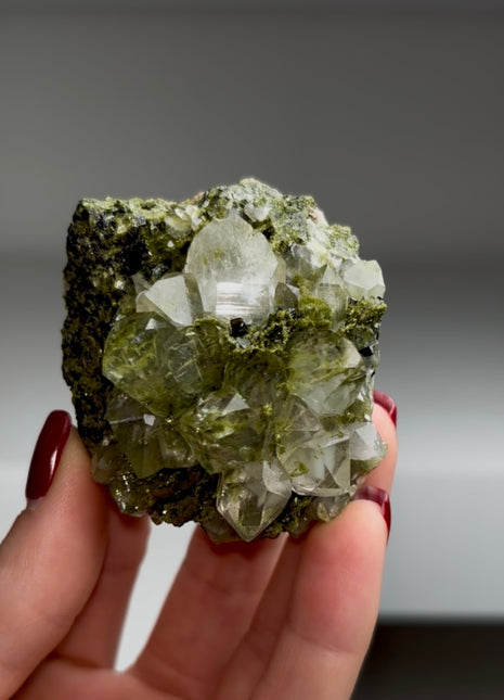 Forest Epidote with Quartz