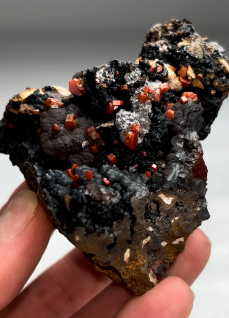 New Arrival ! Black Goethite with Red Vanadinite