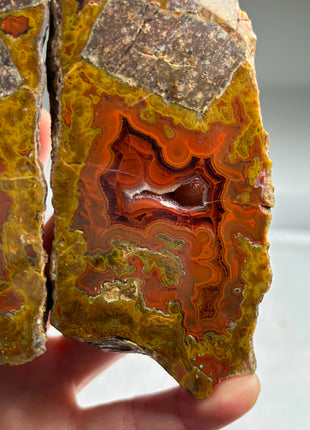 Coolest ! Black Sea Agate Pair