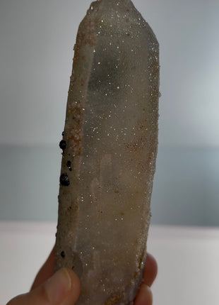 Stardust Quartz PM0655