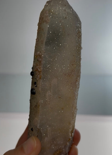 Stardust Quartz PM0655