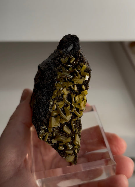 Wulfenite Sandwich Specimen