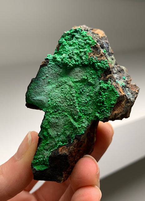 Vibrant Green Conichalcite ! From Spain