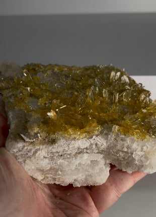 Exquisite Golden Selenite with Halite from Peru