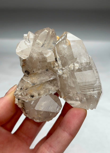 DT Quartz from Switzerland Special Price 💥