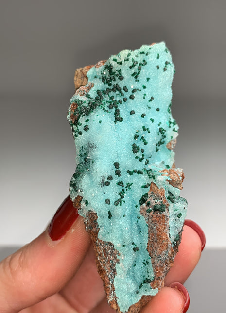 Druzy Blue Chrysocolla with Green Malachite - Tenke mine, Congo