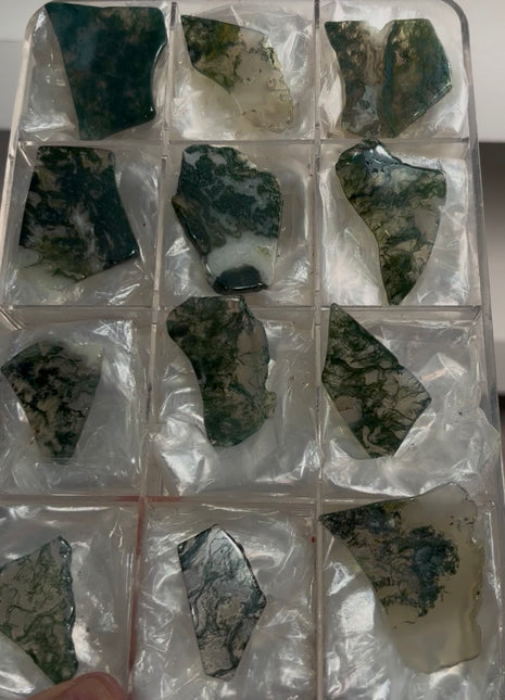 12 Pieces ! Transparent Moss Agate Lot