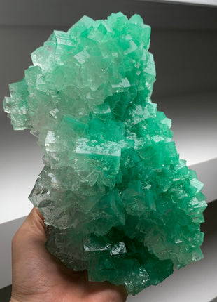 Amazing ! Green Cubic Halite - From Lubin mine, Poland