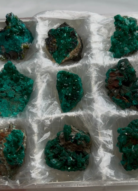 9 Piece Lot !  Green Dioptase Specimens