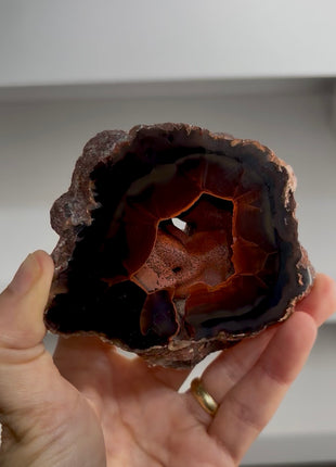 Red Fox Agate Geode from Argentina