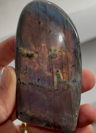 Incredibly Colorful Labradorite PM0562