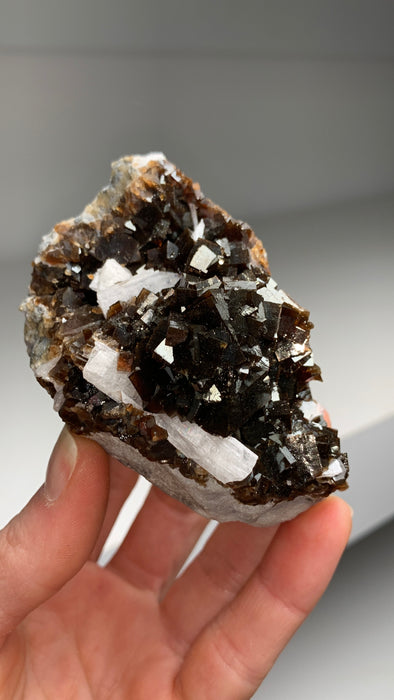 Extremely Lustrous Root Beer Fluorite with Selenite