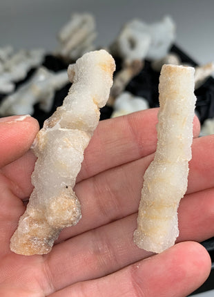 New ! White Coral Chalcedony Stalactite Lot - 23 pieces !