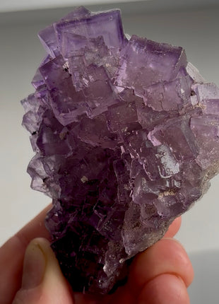 New find ! Fluorite from Turkey PM1170