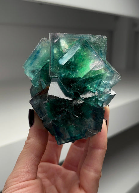 Gem 💎 Blue Green Fluorite from Okorusu Collection # 324