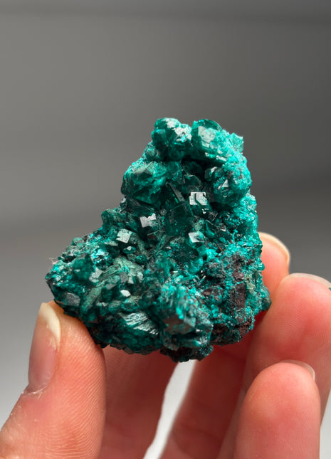 Green Dioptase DW045