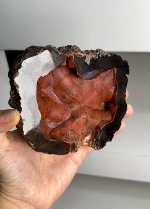 Red Fox Agate Geode from Argentina PM0830