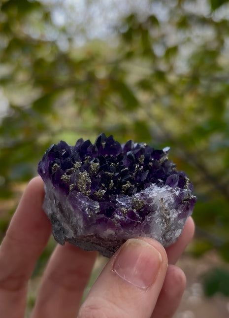 Wow ! Amethyst with Pyrite